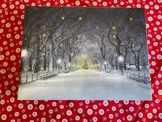 Wax melt Advent calendar: Winter Park Scene